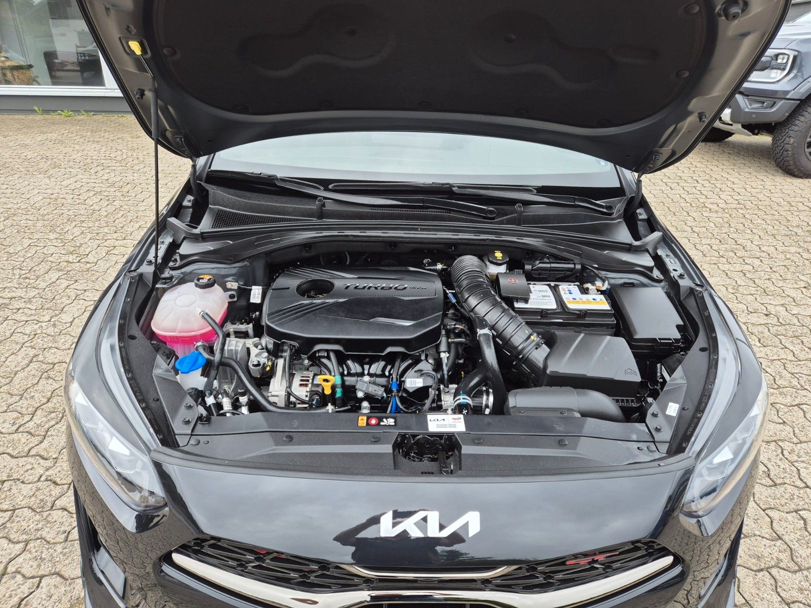 Kia ProCeed GT - Samsaru's Car Outlet