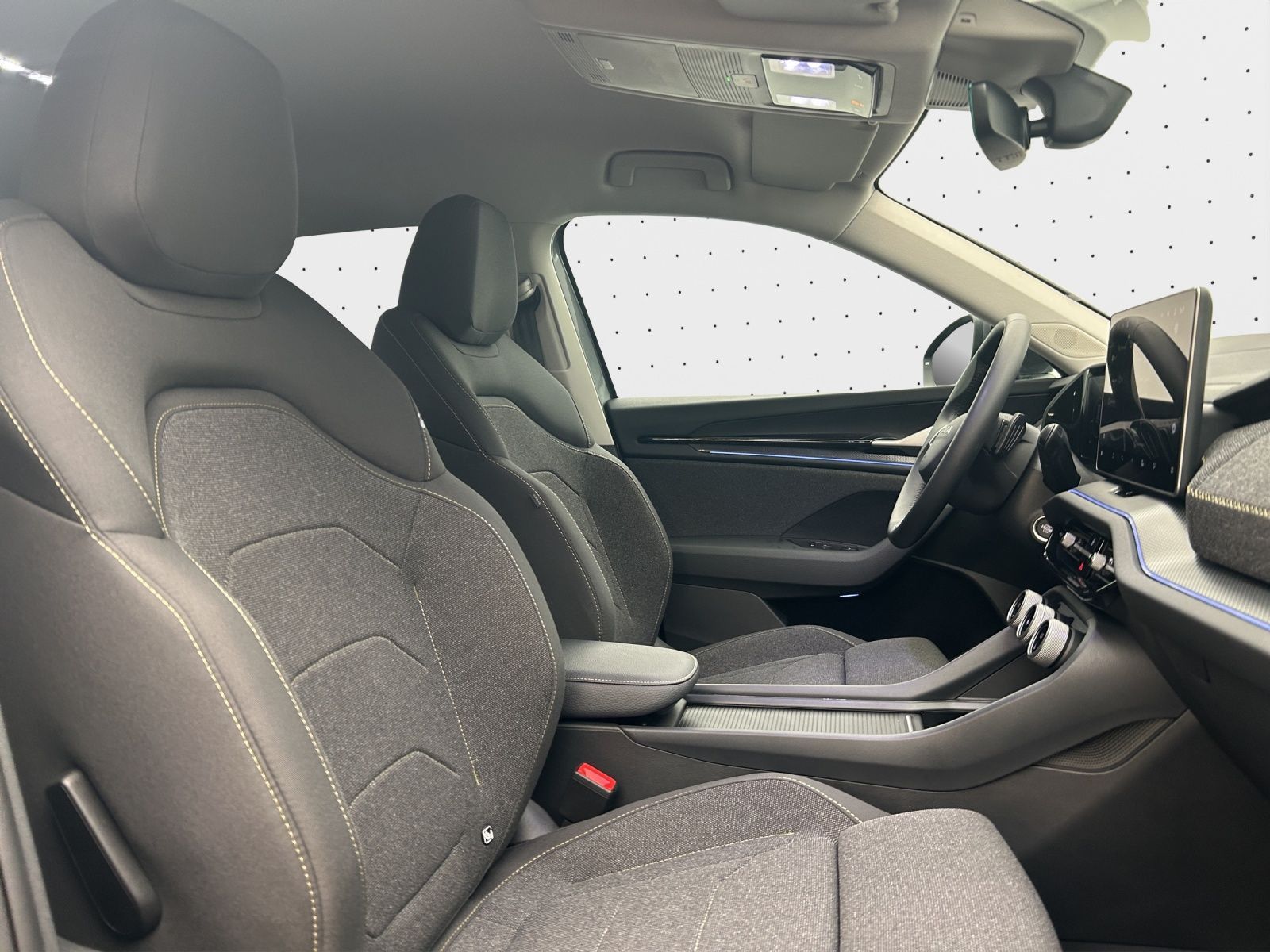 Skoda Kodiaq 2.0 TSI*AHK*KAM*NAVI*SHZ*PDC*LED*KEYLESS*