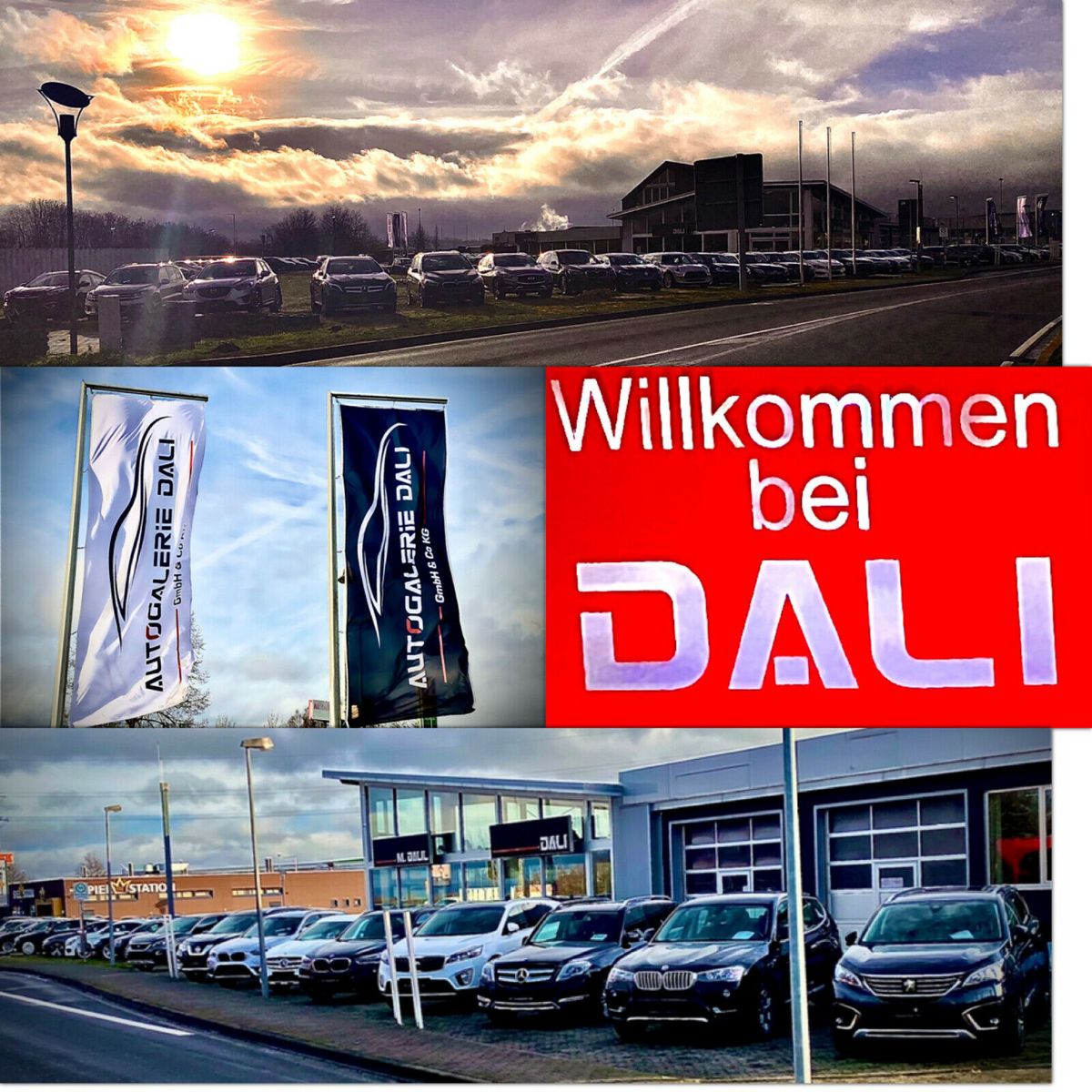 Audi Q8 50 TDI quattro S-LINE - Samsaru's Car Outlet