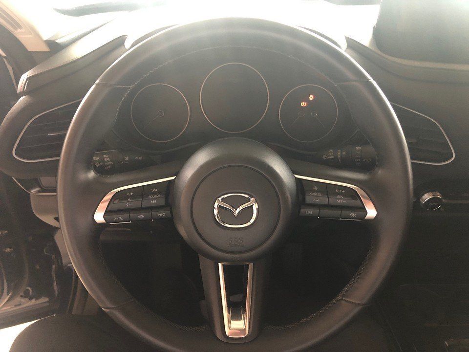 Mazda CX-30 2.5l Nagisa Automatik