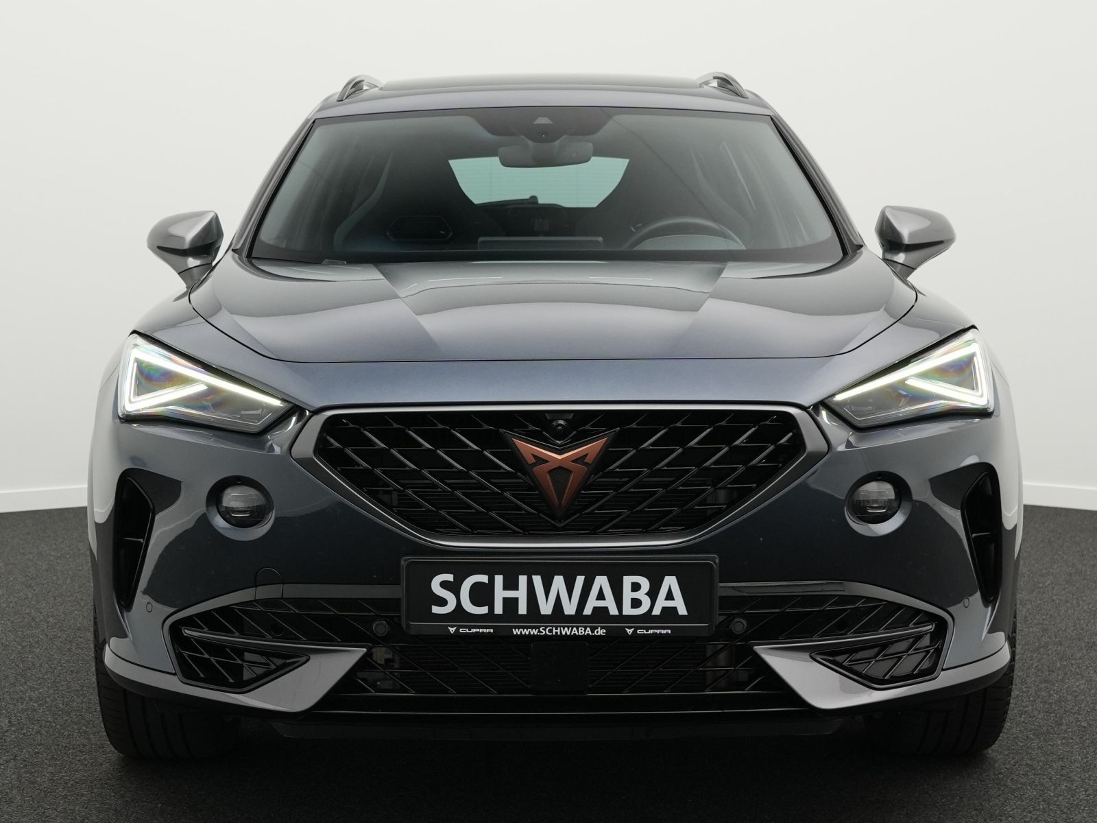 Cupra Formentor VZ 2.0 TSI 4Drive DSG *ACC*AHK*PANO*19