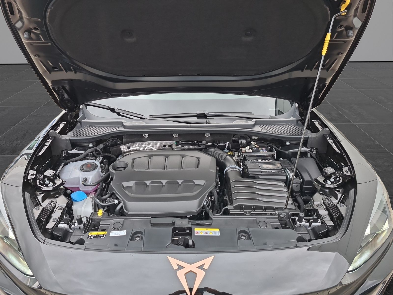 Cupra Formentor VZ 2.0 TSI 4Dr.DSG +AHK+MATRIX+SENNHEI