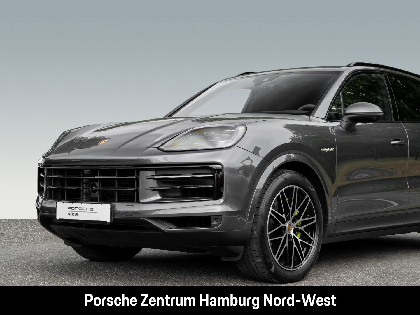 Porsche Cayenne E-Hybrid Panoramadach PASM BOSE ACC 360°