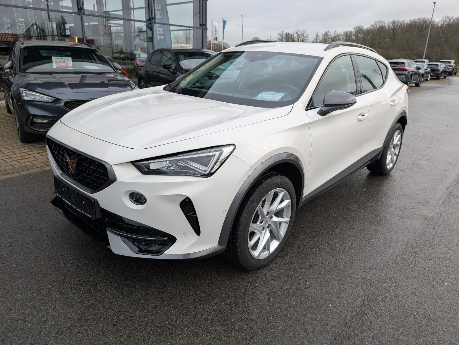 Cupra Formentor 2,0 TSI DSG 4Drive