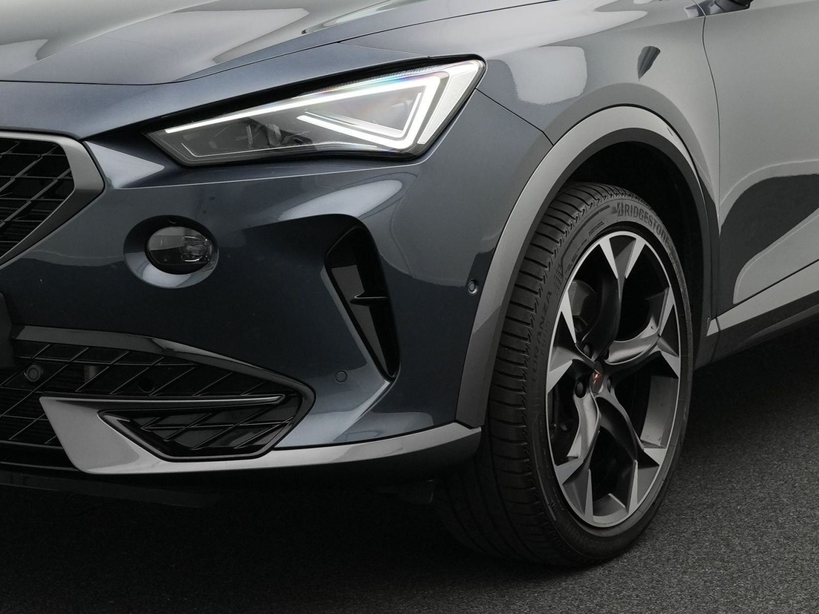 Cupra Formentor VZ 2.0 TSI 4Drive DSG *ACC*AHK*PANO*19