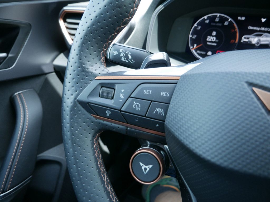 Cupra Formentor 2.0 TSI VZ Tribe Edition 4Drive AHK