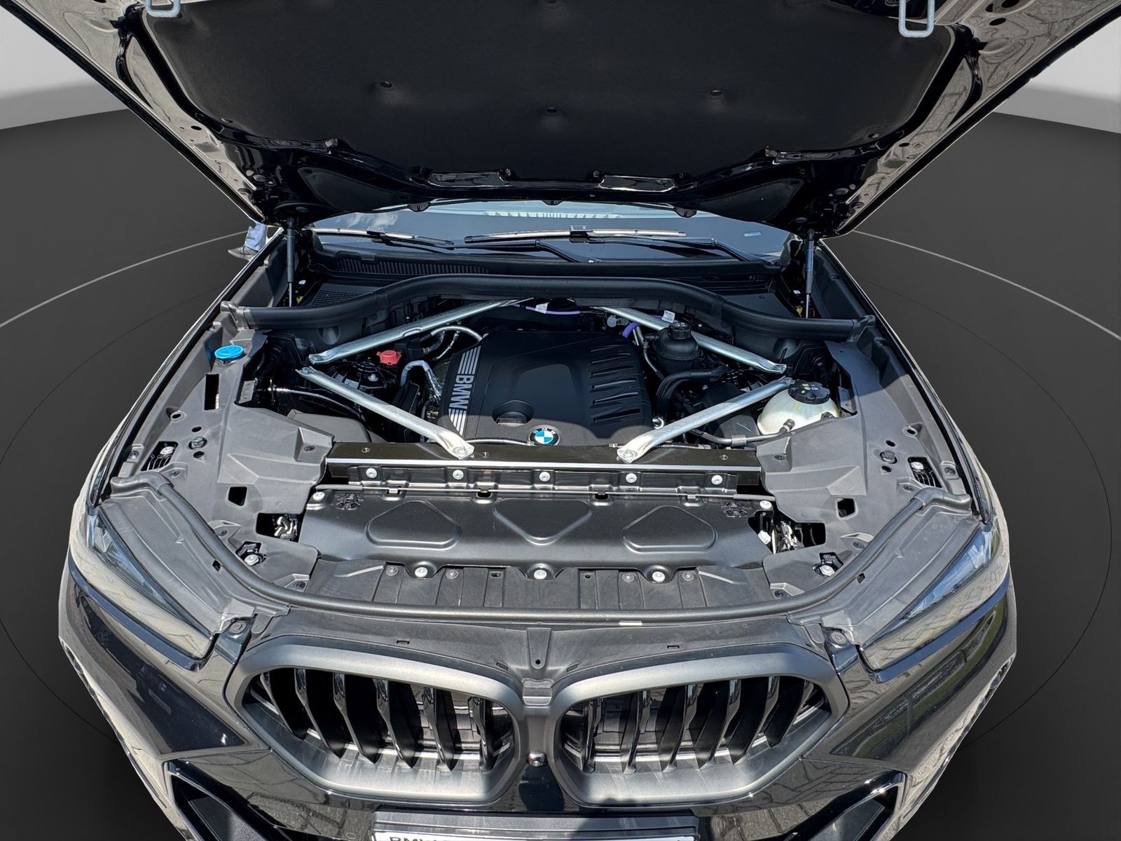 BMW X6 xDrive30d Standheizung Parking u. Driving Ass