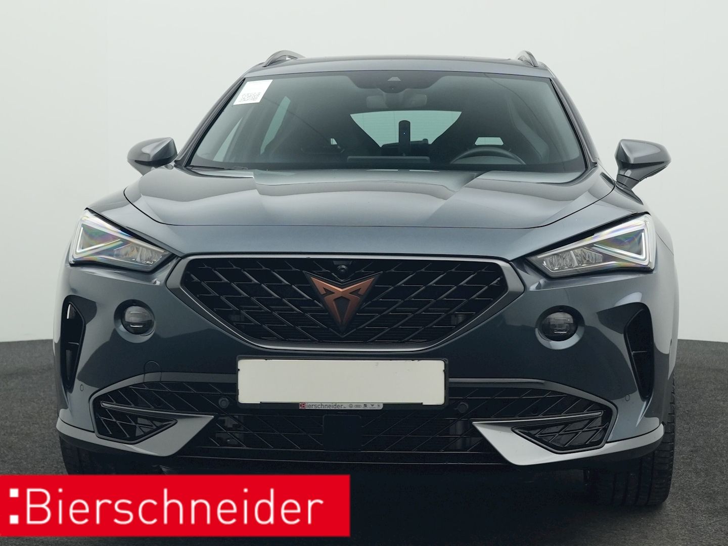Cupra Formentor 2.0 TSI DSG 4Dr. VZ PANO AHK 360 eHECK