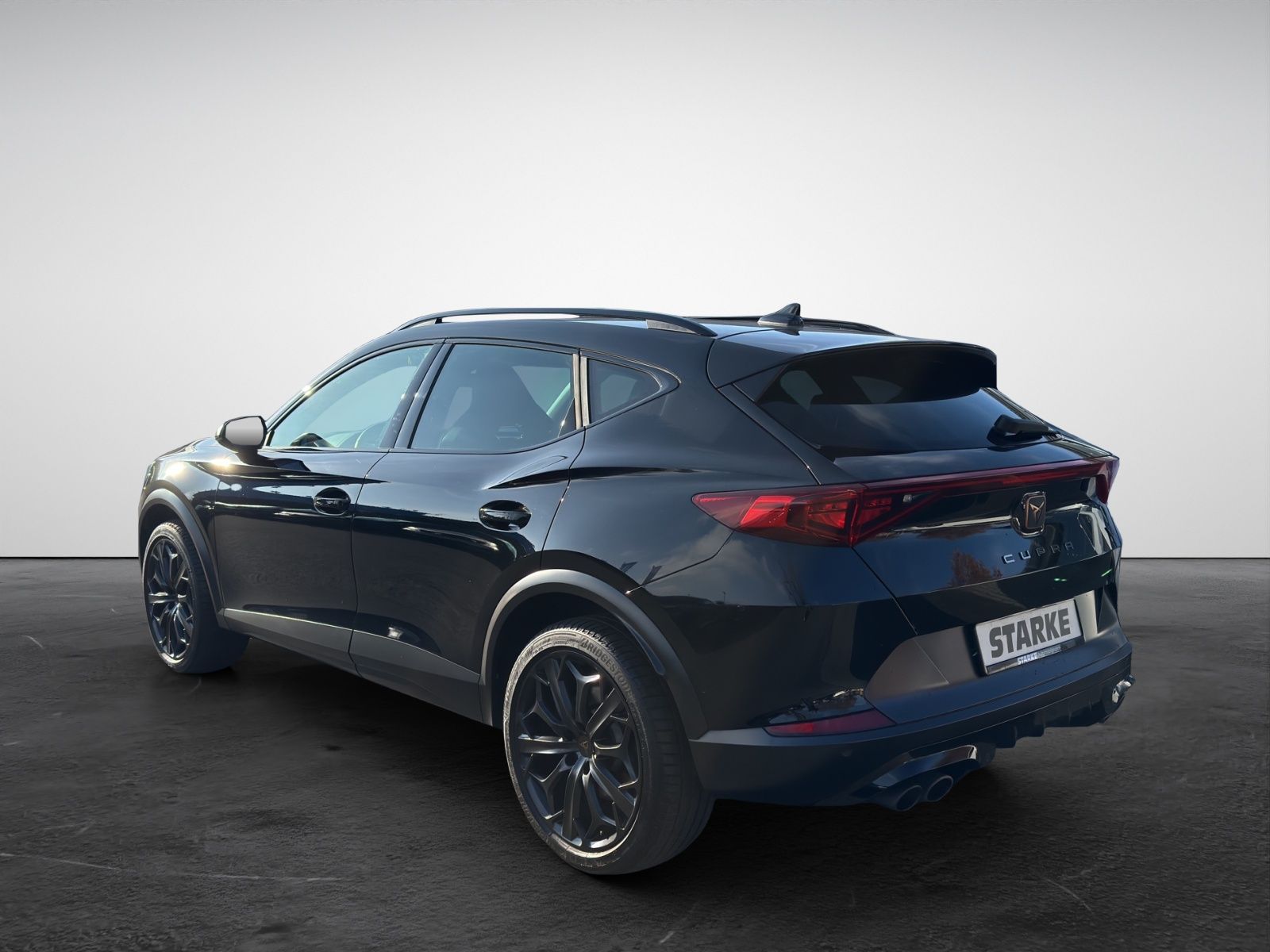 Cupra Formentor VZ 2.0 TSI DSG 4Drive Tribe Edition  P