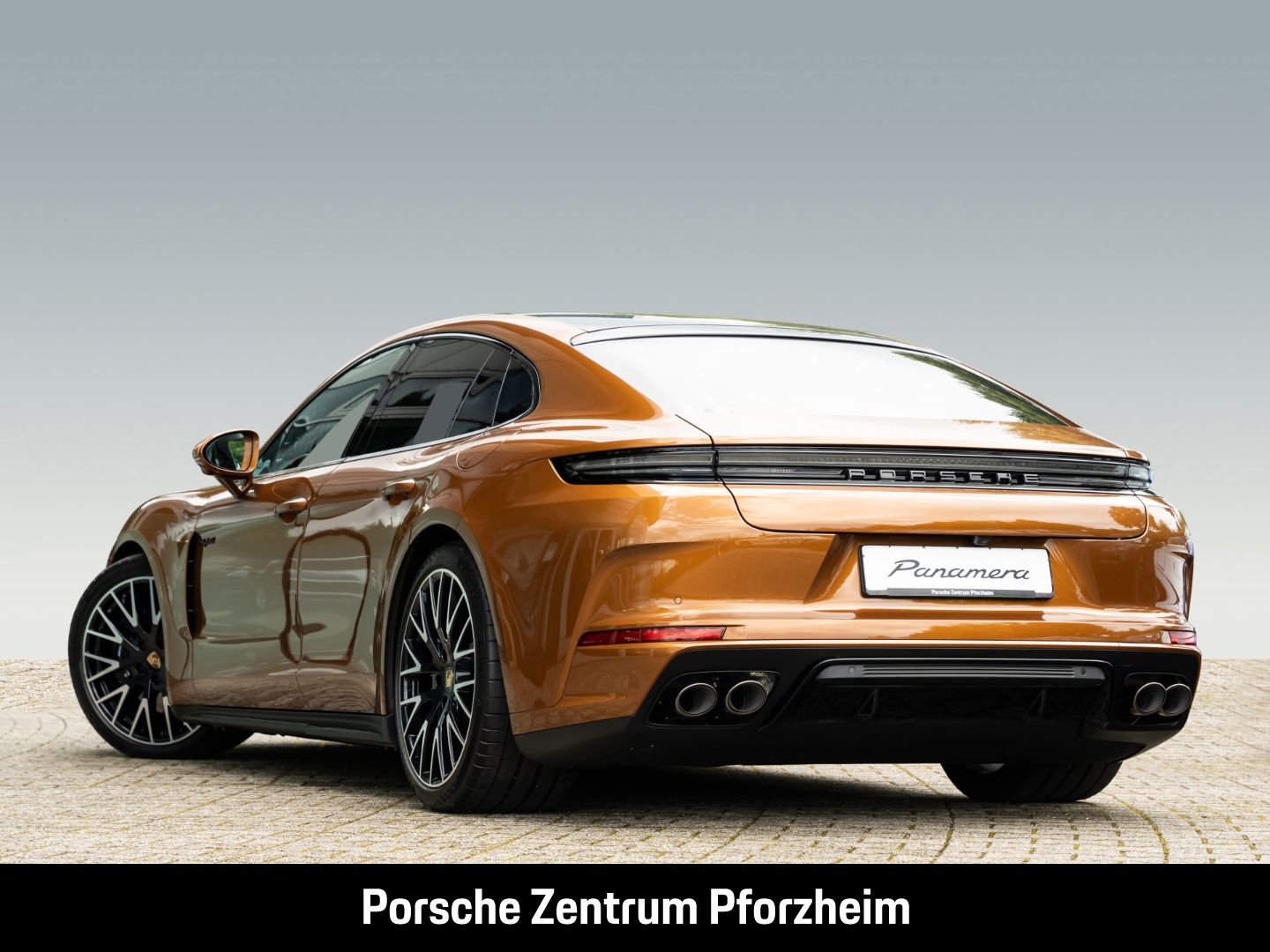 Porsche Panamera 4 E-Hybrid SportDesign Paket HD-Matrix