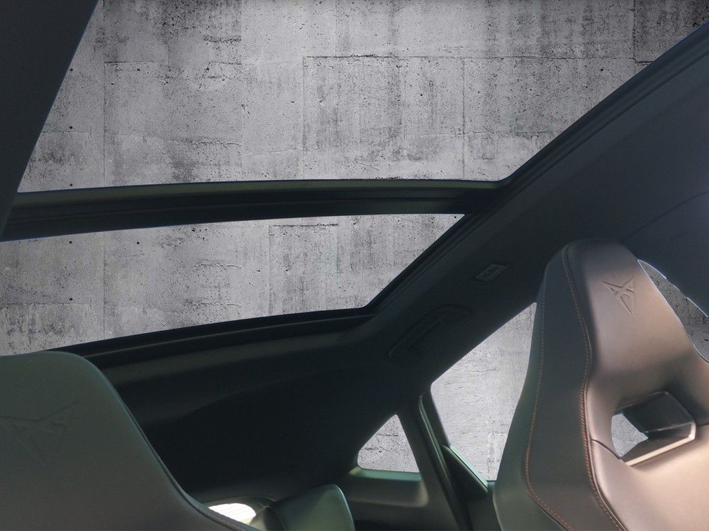 Cupra Formentor VZ 2.0 TSI DSG 4Drive ACC+AHK+Pano+RFK