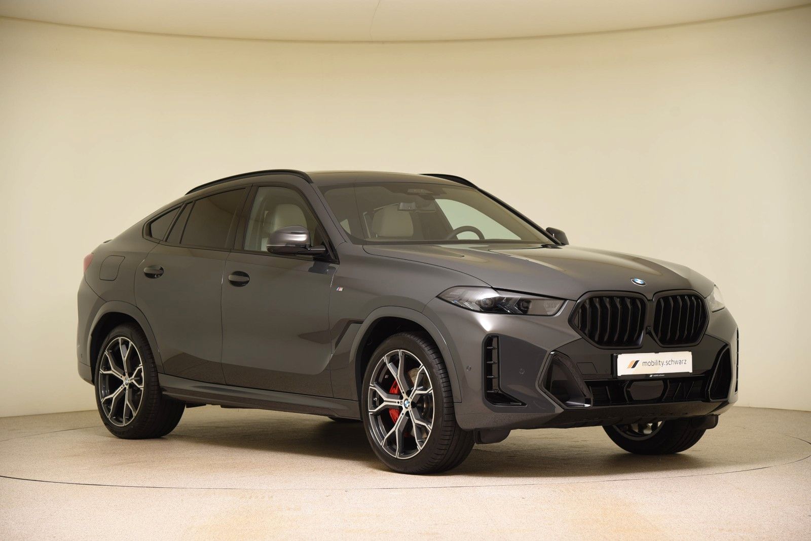 BMW X6 xDrive30d M Sport Pro DriveAssProf Pano 360°