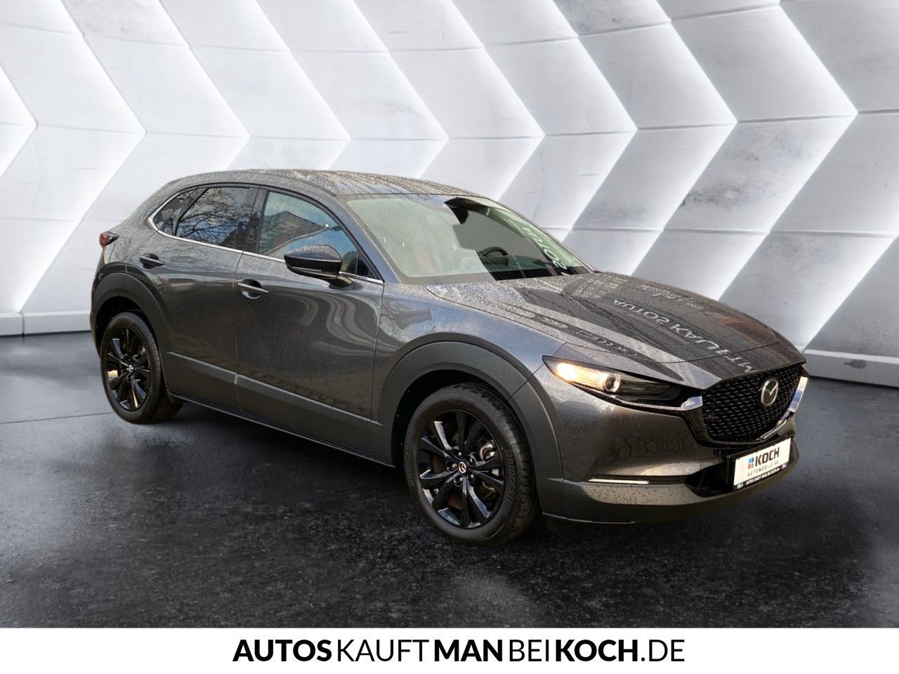 Mazda BOSE KEYLESS 18° LED KAM ACC DAB