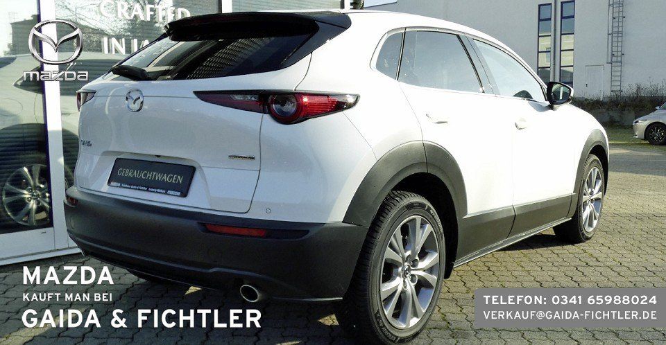 Mazda CX-30 e-SKYACTIV G 140 PS Automatik Takumi Leder