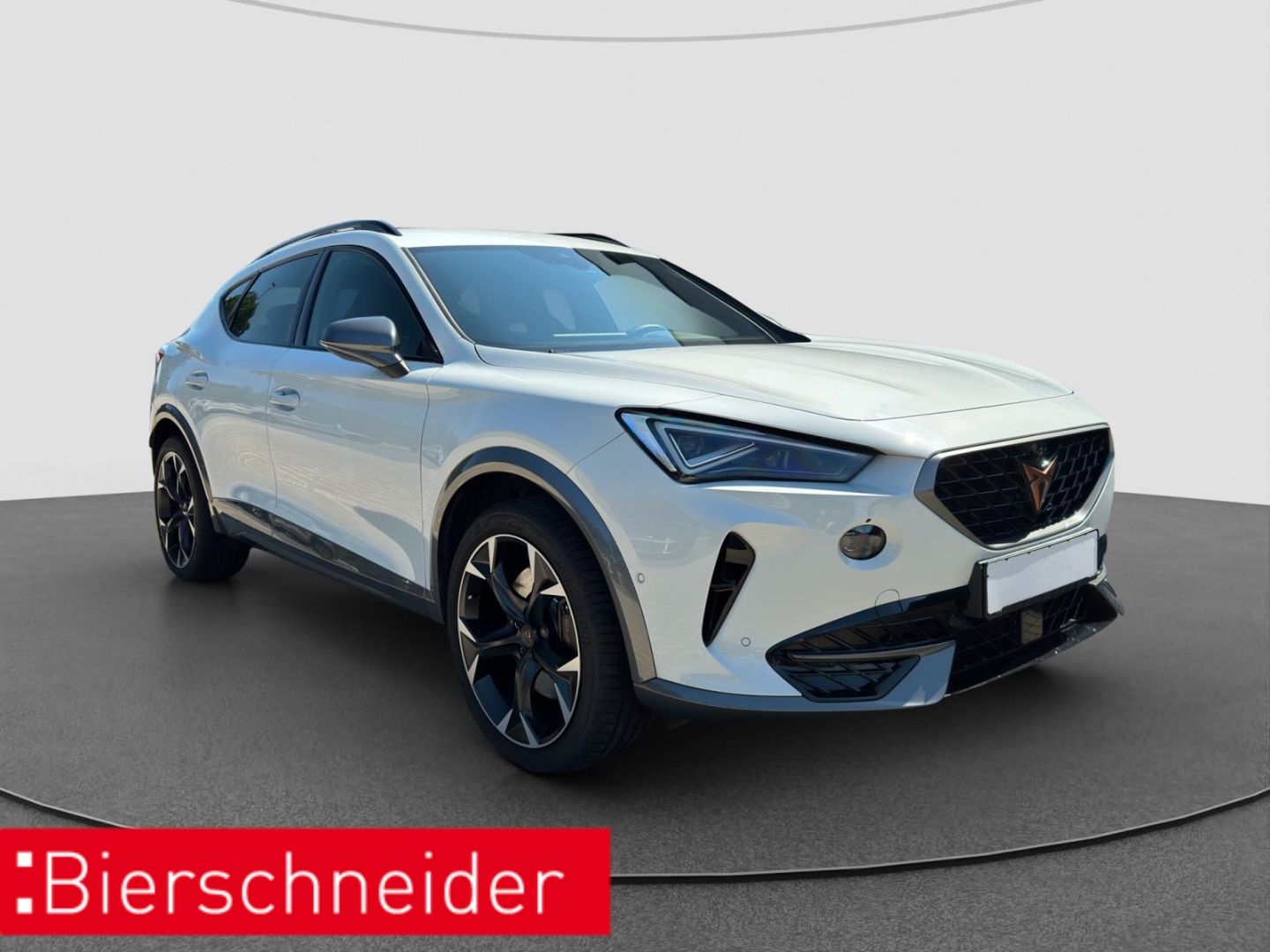 Cupra Formentor 1.4 e-Hybrid DSG VZ AHK RAER VIEW LED