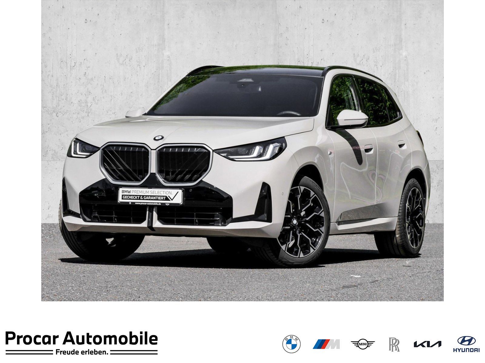 BMW X3 20d xDrive M SPORT+Zins ab 0,99%+STANDHZG+PAN
