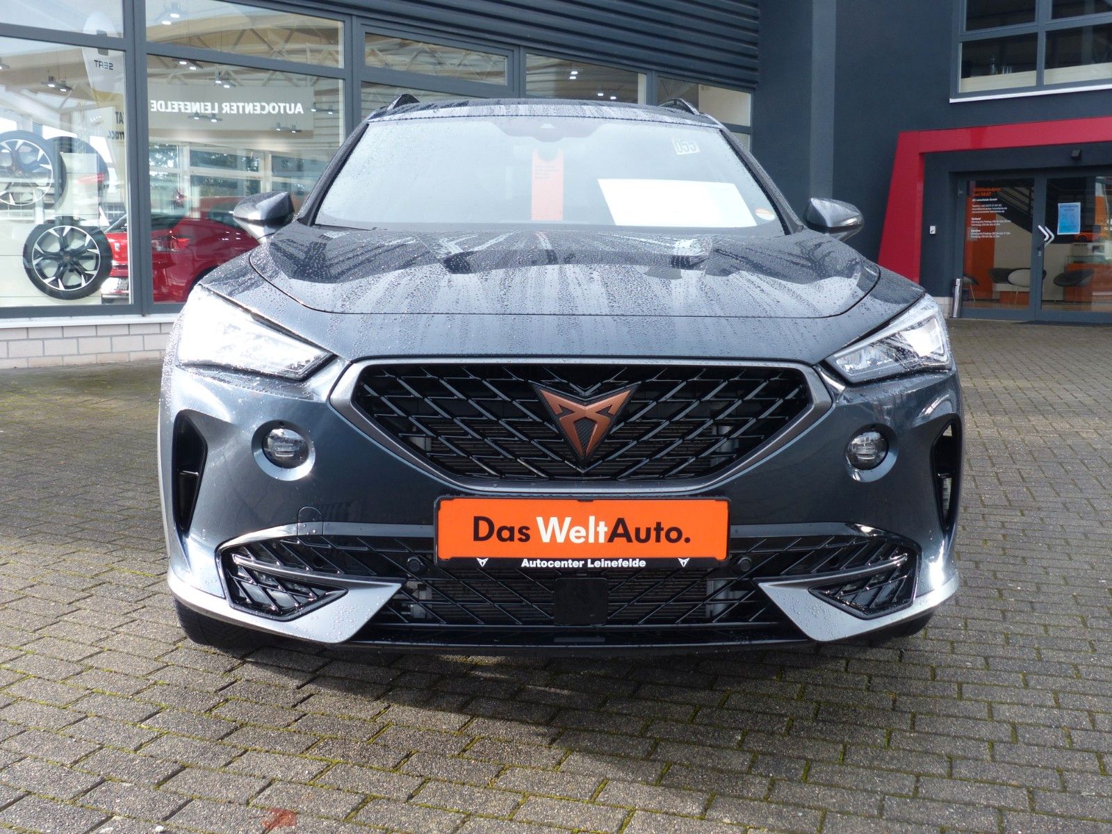 Cupra Formentor 2.0 TDI 4Drive - Samsaru's Car Outlet
