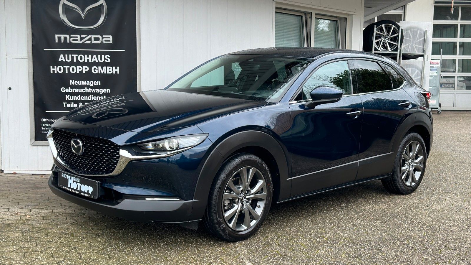 Mazda CX-30 Selection 360° MATRIX BOSE CarPlay Sitzhz
