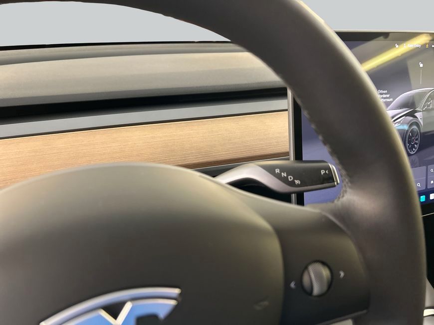 Tesla Model Y Performance Dual Motor AWD Skyview