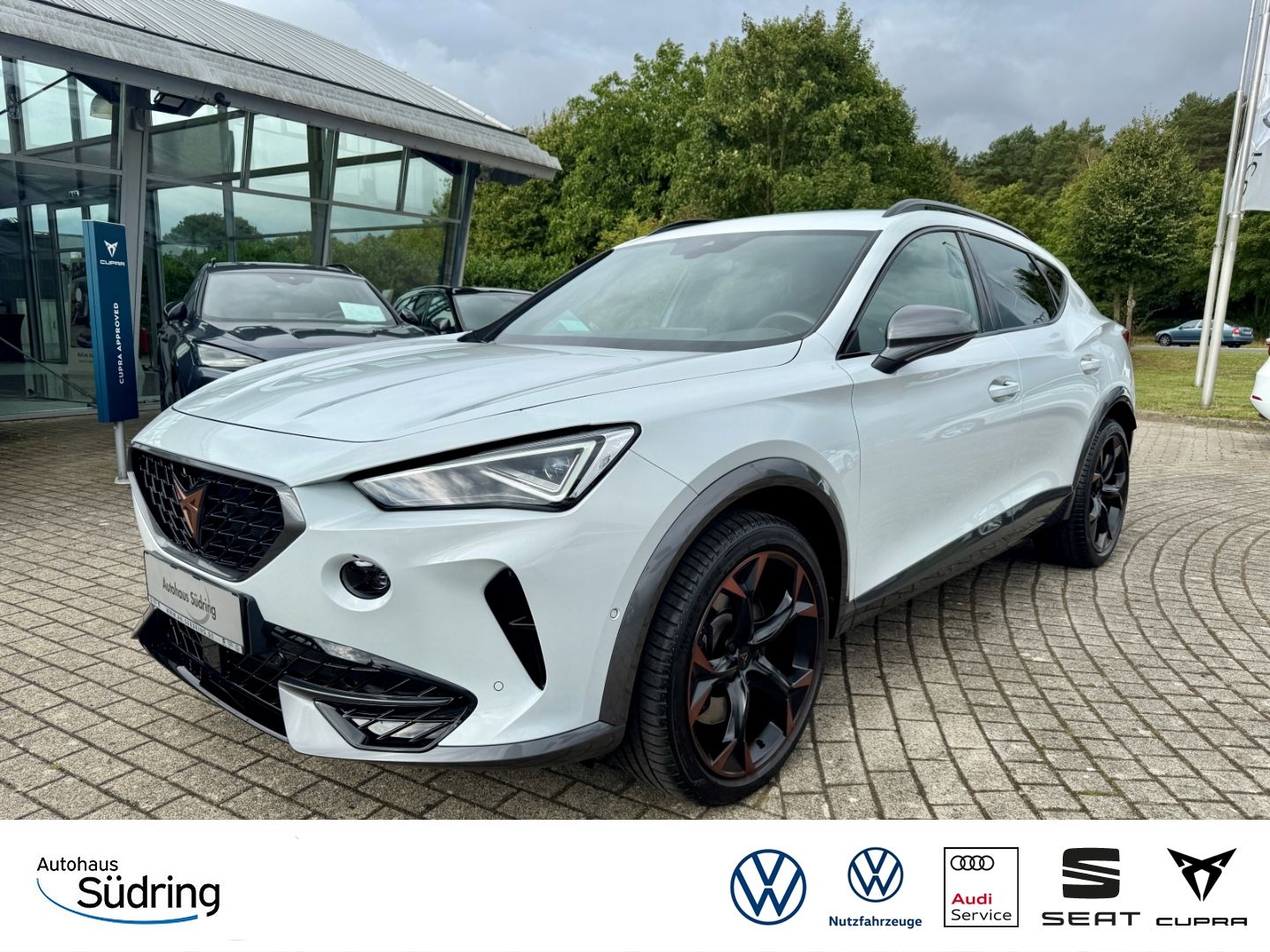 Cupra Formentor 2,0 TSI VZ 4DRIVE DSG Leder Akrapovic