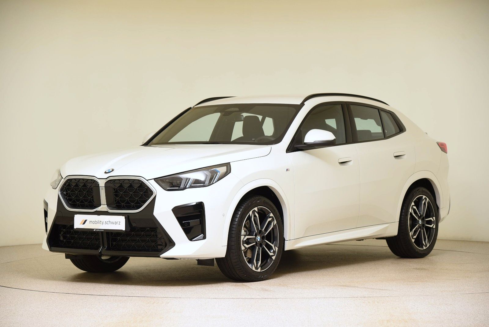 BMW X2 xDrive20d M Sport LED ACC HUD AHK 360° Alarm