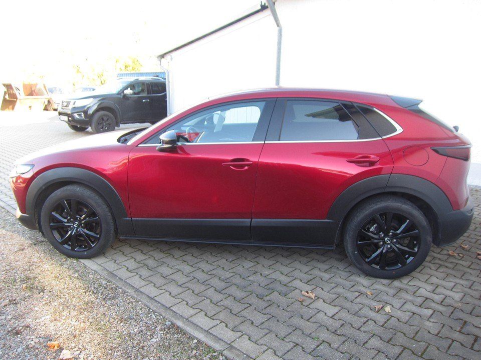 Mazda CX-30 SKYACTIV-X 2.0 M HYBRID Homura / Rückfahrk