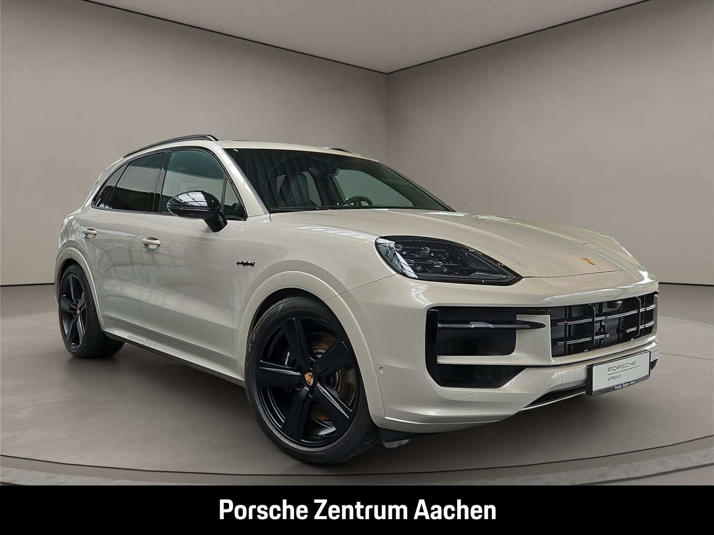 Porsche Cayenne S E-Hybrid Clubleder HA-Lenkung BOSE LED