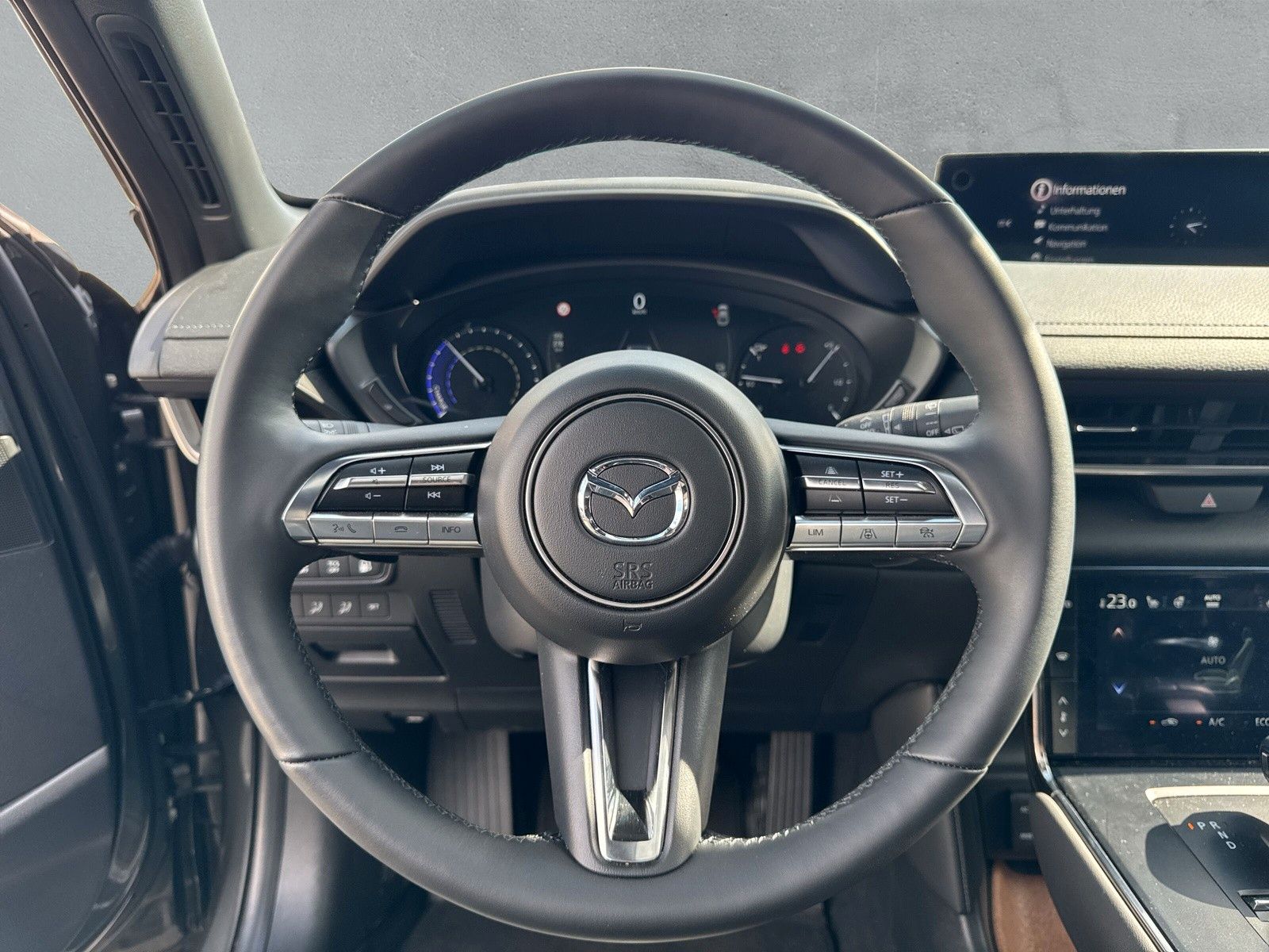 Mazda MX-30 Makoto R-EV Panorama LED DAB