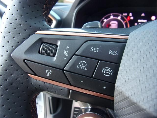 Cupra FORMENTOR 1.5 E-HYBRID DSG AHZV-VORBER. SITZH.