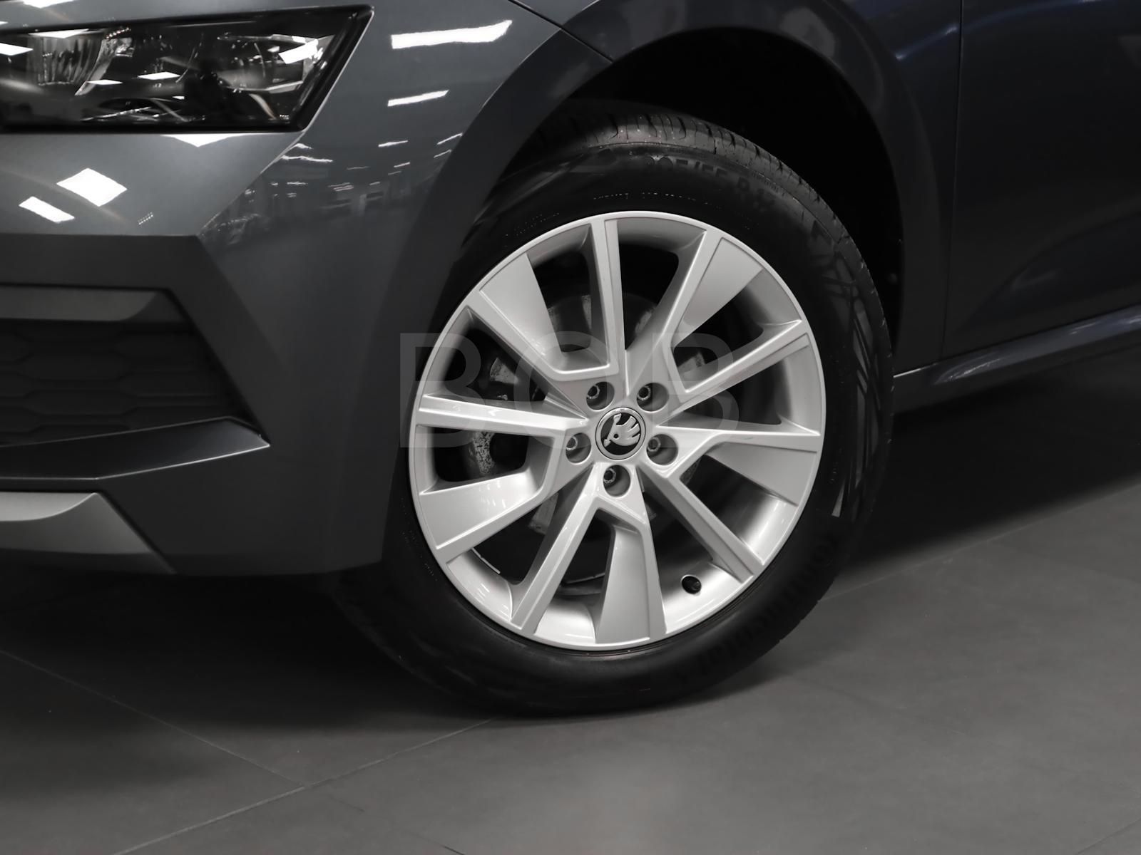 Skoda Kamiq 1.5 TSI DSG Clever - Samsaru's Car Outlet