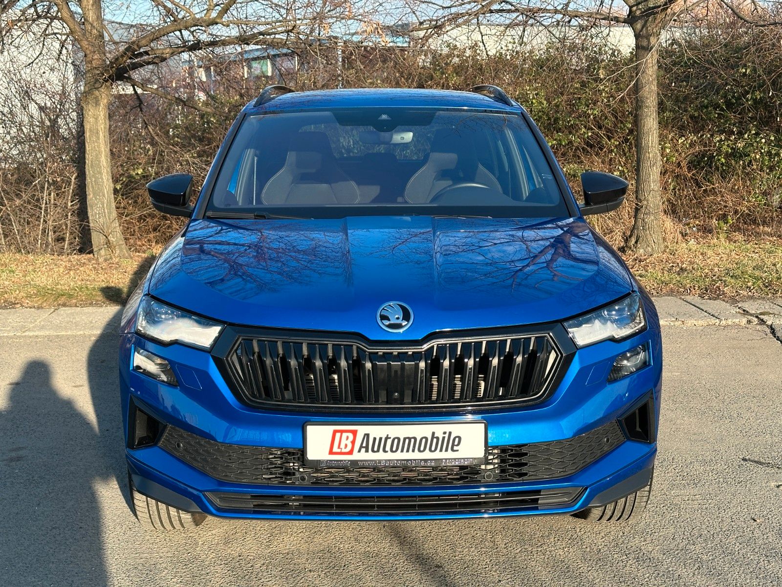 Skoda 2.0TDi 4x4 DSG Sportline ACC NAVI eHK LM18"AHK