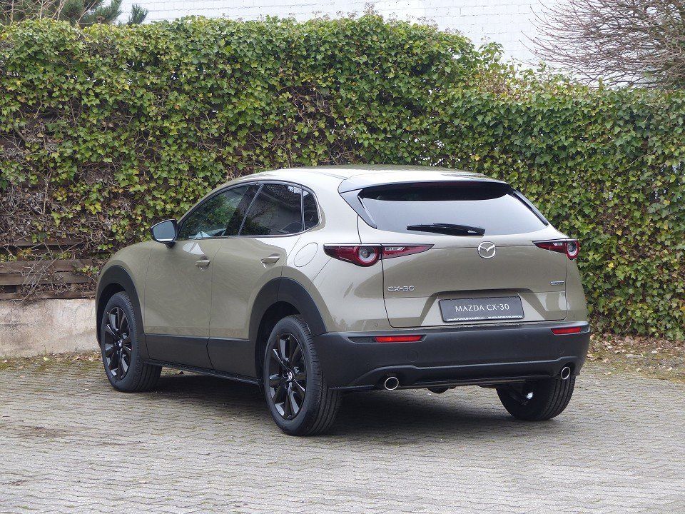 Mazda CX-30 2025 2.5L e-SKYACTIV G 140ps 6AT FWD Homur