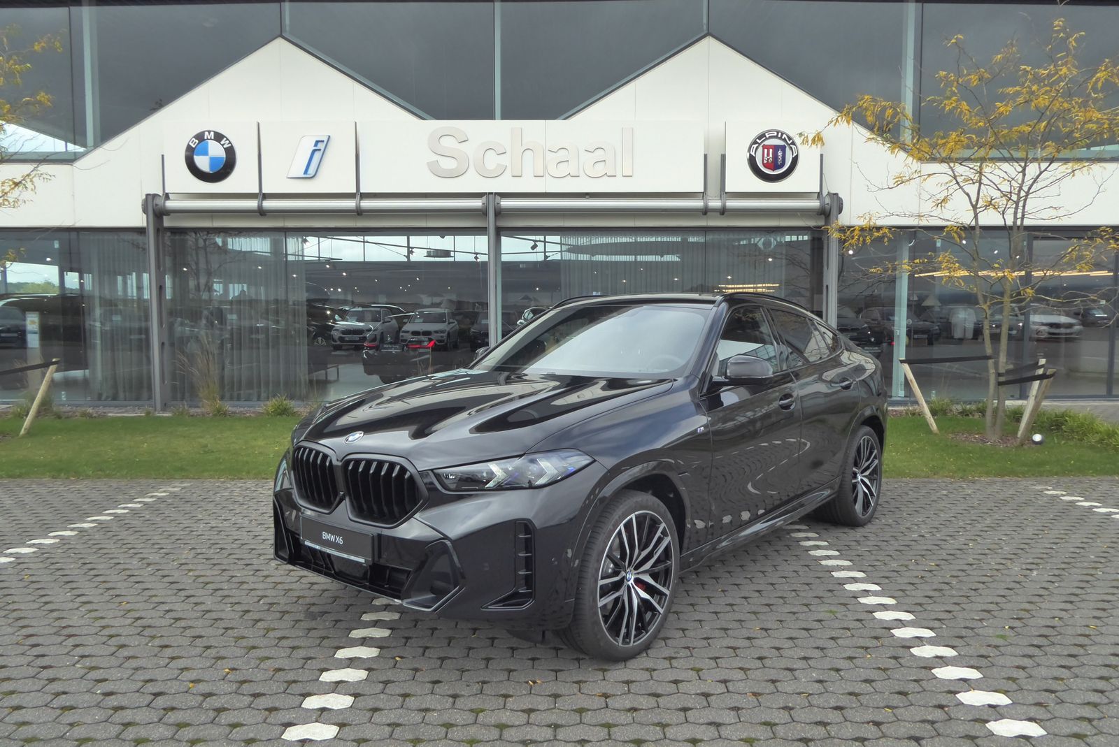BMW X6 xDrive40d M Sport AHK HuD SH PANO 360°