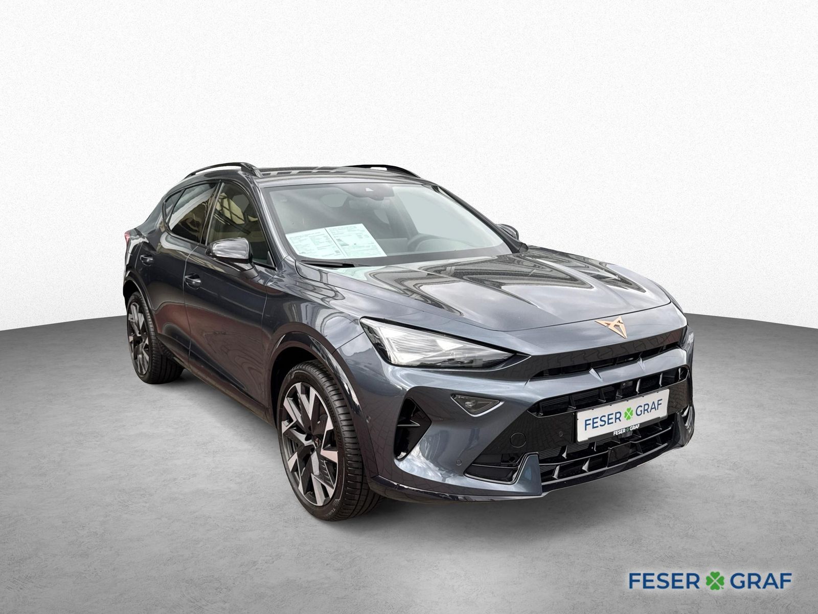 Cupra Formentor VZ 2.0 TSI DSG AHK 360° SENNHEISER FAP