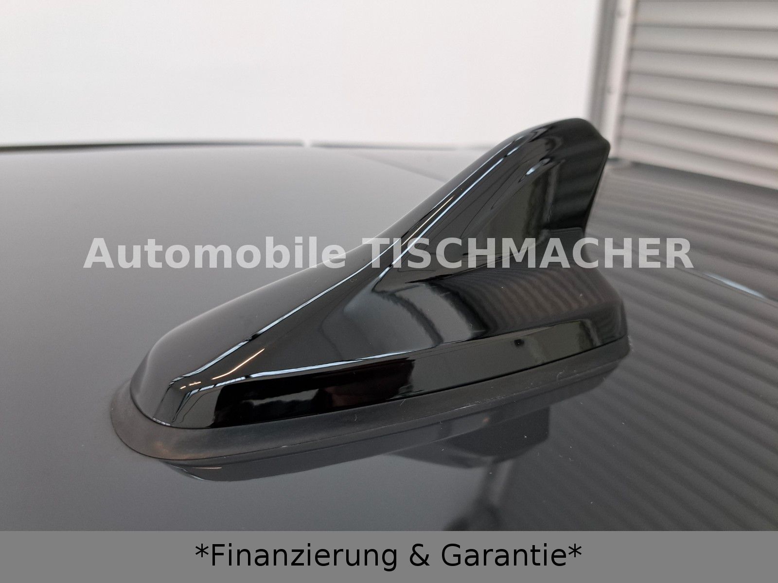 Volkswagen Golf VIII DSG - Samsaru's Car Outlet