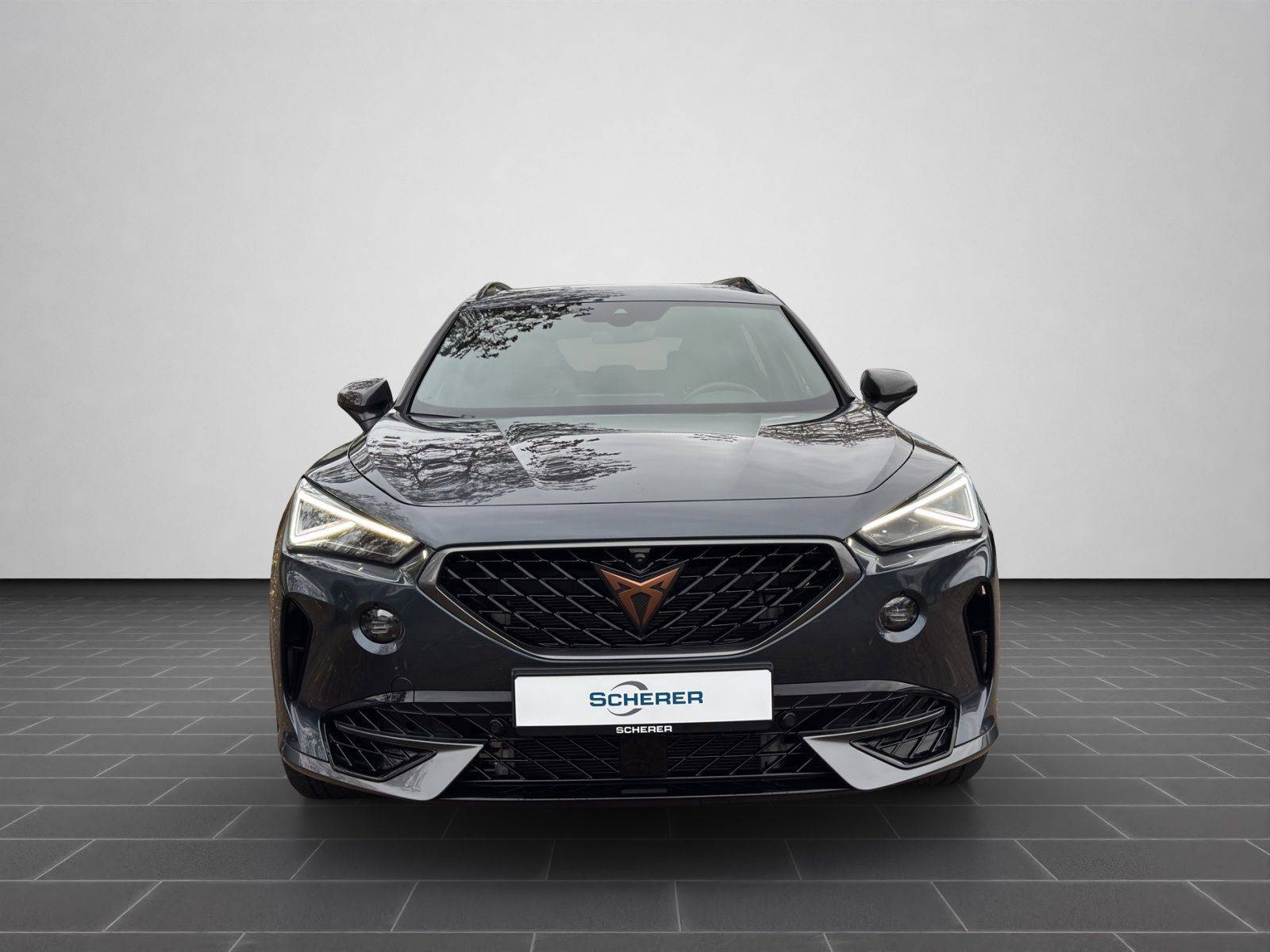 Cupra Formentor VZ 2.0 TSI 4Drive AHK PANO LEDER KAMER