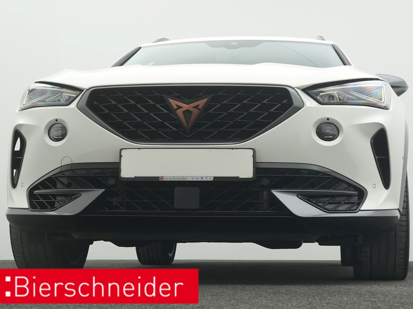 Cupra Formentor 2.0 TSI DSG 4Dr. VZ PANO BREMBO AHK LE