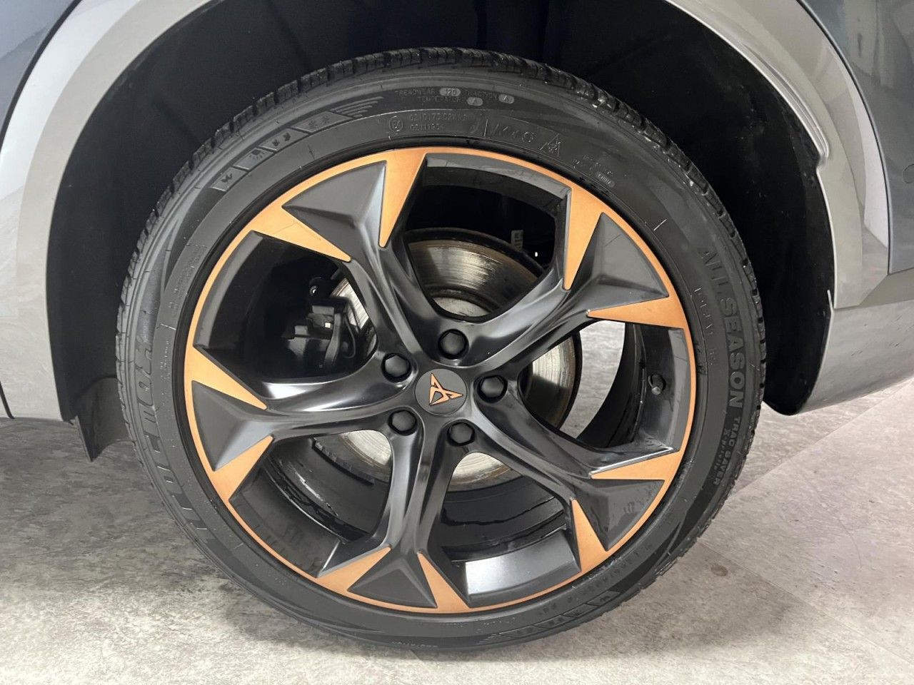 Cupra Formentor VZ 2.0 TSI DSG 4Drive Panorama Klima
