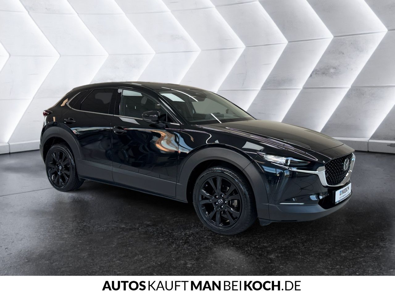Mazda CX-30 2.0 SKYACTIV-G M Hybrid Homura LED NAVI BT
