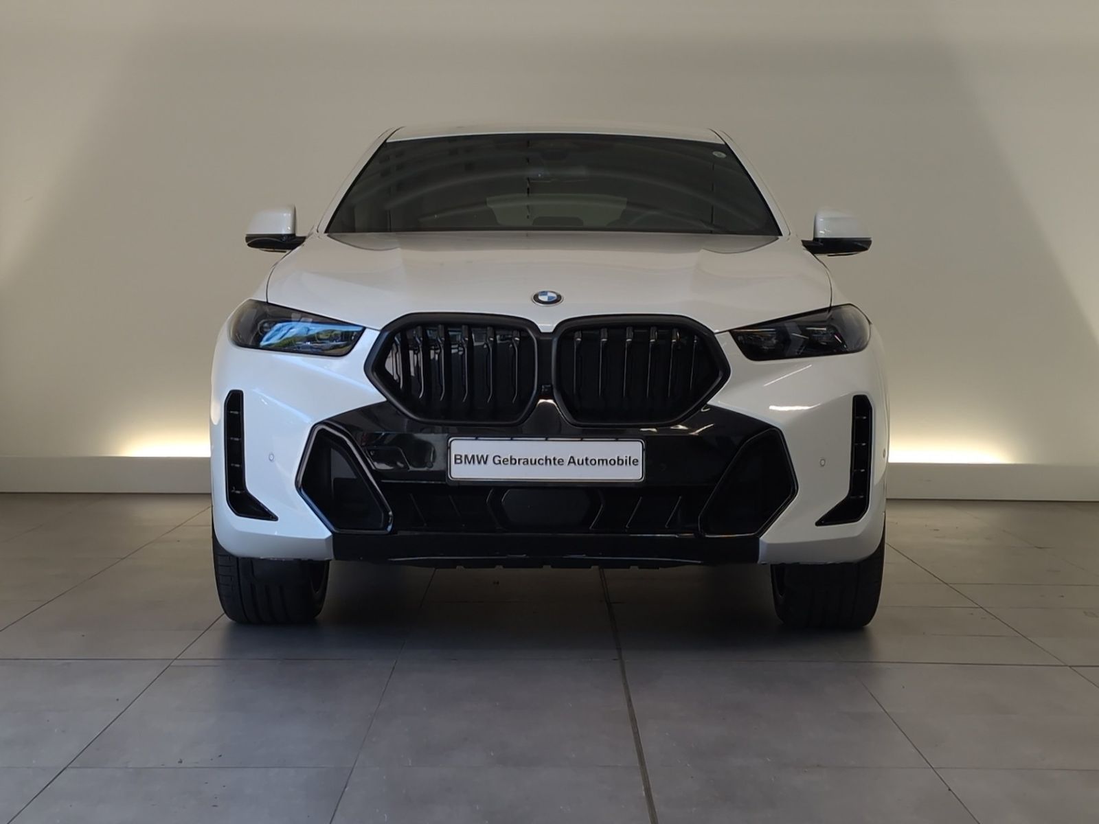 BMW X6 xDrive30d M Sport Pro Navi/LED/AHK/RFK/ACC Na