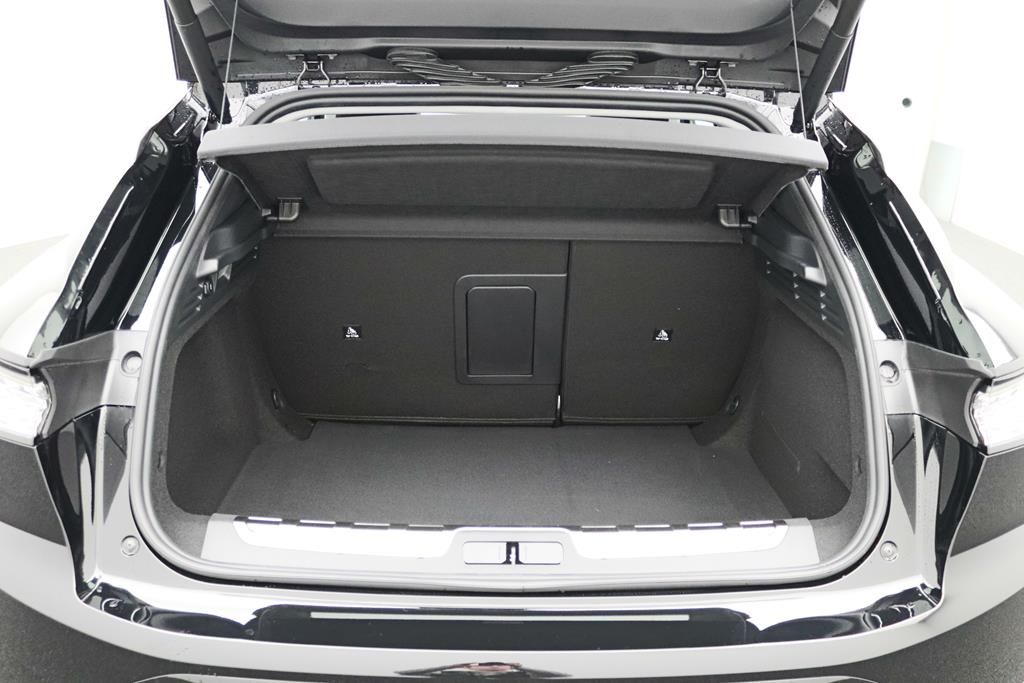 DS Automobiles DS4 Performance Line +
