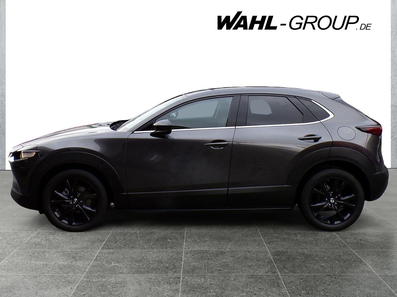 Mazda CX-30 2.5 SkyactiveG 140 Automatik Homura*LED*RF