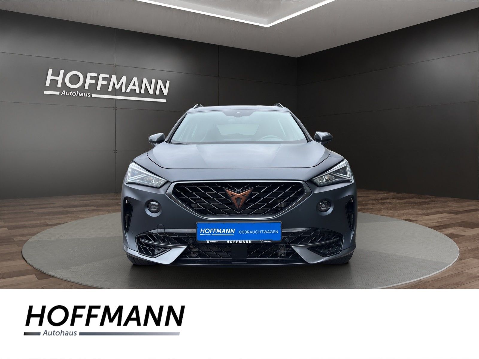 Cupra Formentor 2.0 TSI VZ 4Drive DSG AHK+Navi+Pano