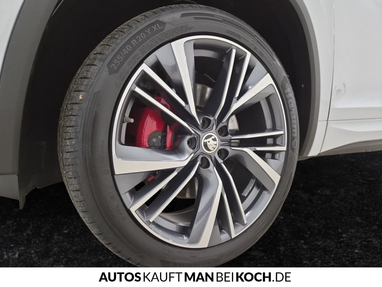 Skoda Kodiaq RS 2.0 TSI 4x4 STHZ AHK PANO CANTON ACC