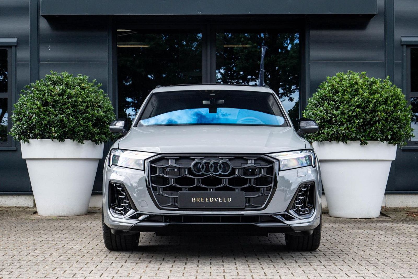 Audi Q7 60 TFSI e Competition 490pk, Carbon, Full-opt