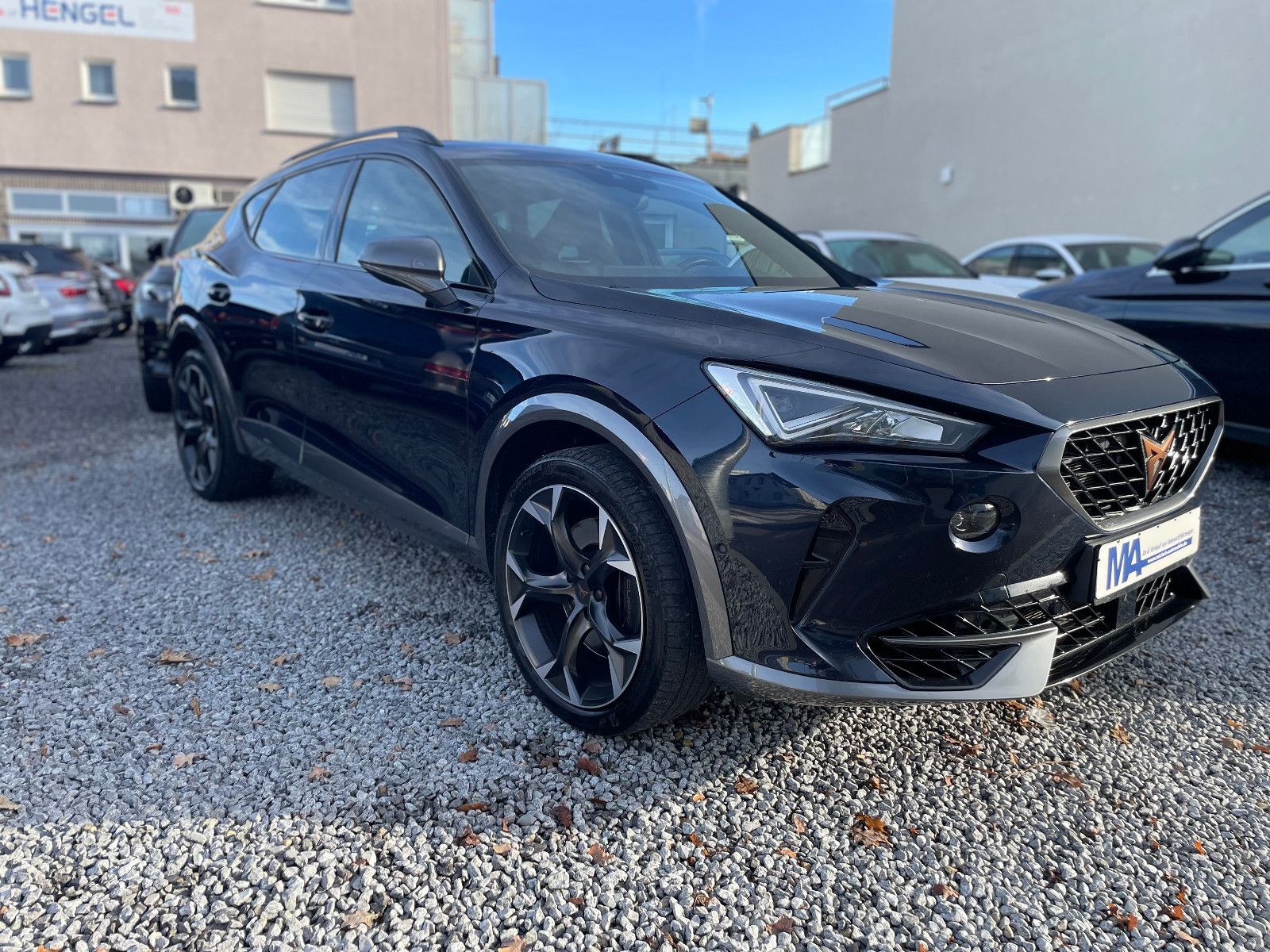 Cupra Formentor 2.0TSI VZ 4Drive AHK Apple Memory