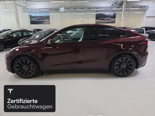 Tesla Model Y Performance