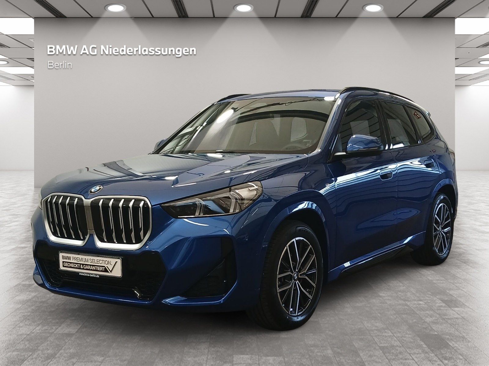 BMW X1 xDrive20d M Sport Leder Navi AHK Driv.Assist+