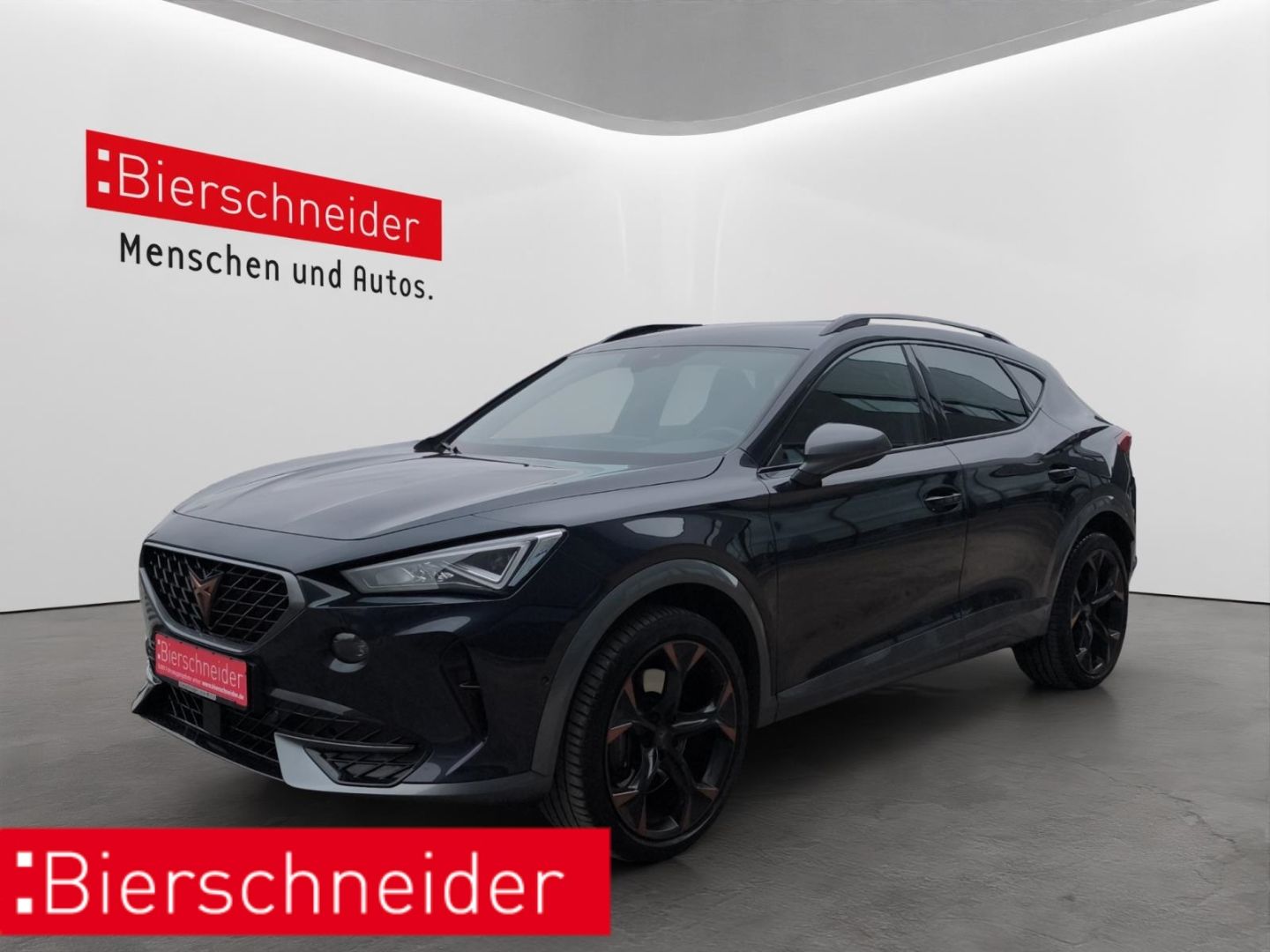 Cupra Formentor 2.0 TSI DSG 4Drive VZ LED NAVI AHK 19 