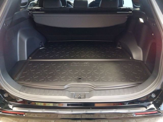 Toyota RAV 4 Plug-in-Hybrid Teamplayer